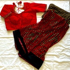 Red black pattern saree. Indian Pakistani wear.